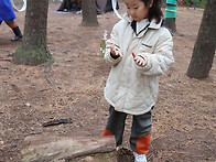 3)마지막 숲활동