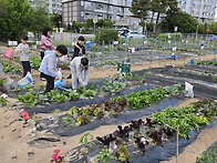 2026.05.12. 자유놀이, ..