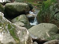 지리산화엄계곡