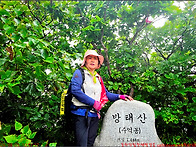 210711, 장미의 도전 - ..
