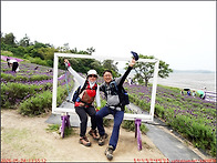 260524_신안 안좌 박지도..