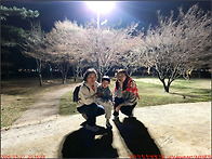 260327_4)경주 동궁과 월..