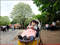250505_전주 덕진구_전주..