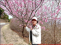 260329_12)포항 사방기념..