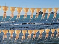 오징어가 줄줄이 ..