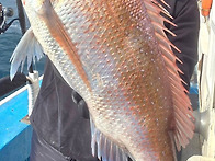 오늘도 알바를ᆢ