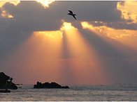 오늘아침 송정 빛내림.