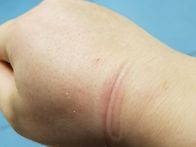 테러,반란군전체 구속시켜..