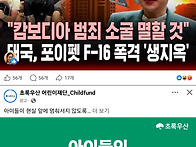 반란군 근거지를 폭격해라..