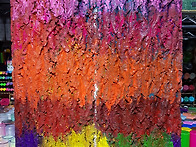 127.할리퀸 아마존(꽃 진..