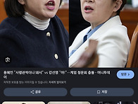 밀입국자 추방금지법안,용..