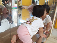 아기성장터~다녀왔어요~&..