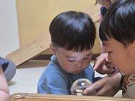 숲체험