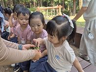 🌳숲체험