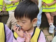 숲 체험&#127794;&#127809;&#127810;