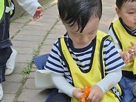 숲체험