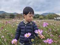 🌸대동생태공..