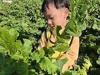 &#129365;무 뽑기 체험&#129365;