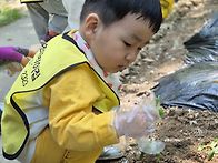 숲 체험&#128030;&#128027;&#127794;&#127795;