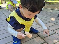 숲체험&#128056;&#128027;&#129419;