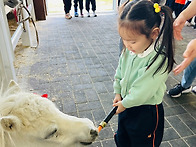 [10월소풍] 렛츠런 파크에..