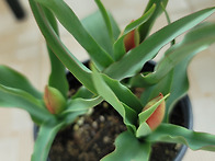 공짜가 넘 좋아