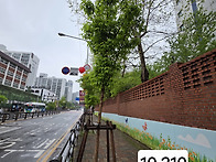 중동로