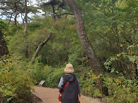 산책의 필요성