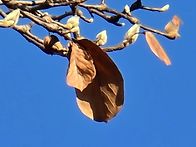 제165회 원당둘래길(202..