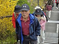 173회 응봉산 (2026.3..