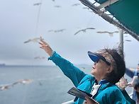 바다와 갈매기