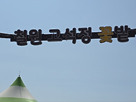 철원 고석정 꽃밭 축제(2..