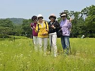 ,제148회 대공원 테마장미..