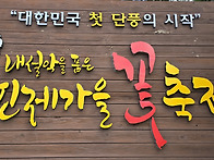 인제 가을 꽃축제(2024...