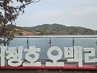 대청호 500 리길