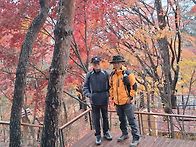 제164회 11월25일 남산 ..