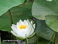 인천 연희 자연 마당