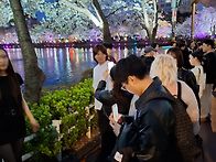 석촌호수 2026.04.03...