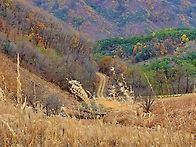 강원도 정선 민둥산(202..