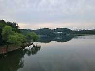 서울대공원걷기