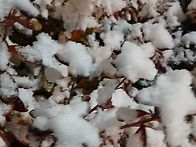 우리동네도 눈이왔네요