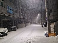 지금 서울에 첫눈이 내리고..
