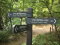 걷님들 사진