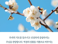 형통한삶