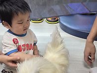 쥬니멀데이🐦