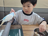 윤오의 주말이야기