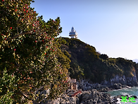 [제58차 역사기행]겨울 바..