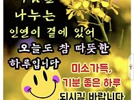 WHO가 발표한 "2025년 ..