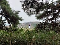 산수예찬(傘壽禮讚) 