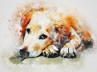 AI가 만든 수채화..